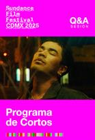 SFF Sesión Q&A Programa de Cortos