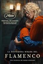 LA MISTERIOSA MIRADA DEL FLAMENCO