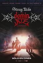 STRAY KIDS: THE DOMINATE EXPERIENCE