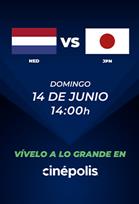PAÍSES BAJOS VS JAPÓN