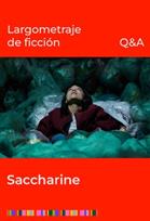 SFF Sesión Q&A Saccharine