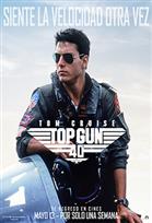 TOP GUN 40