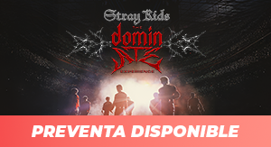 Stray Kids: The dominATE Experience