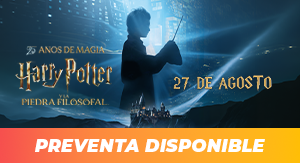 HARRY POTTER Y LA PIEDRA FILOSOFAL 25