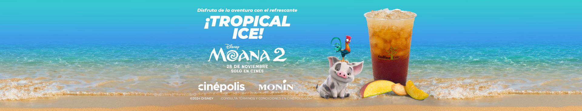 Freezer Moana 2