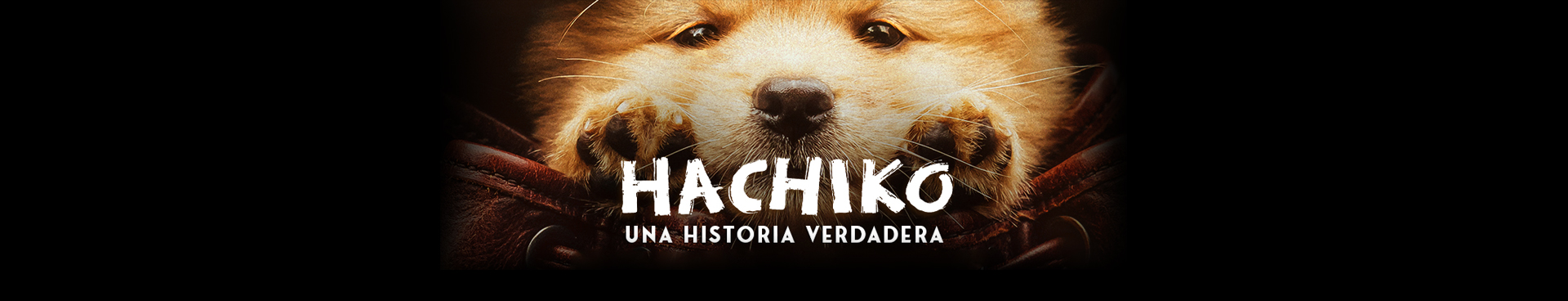 Estreno: Hachiko Una Historia Verdadera