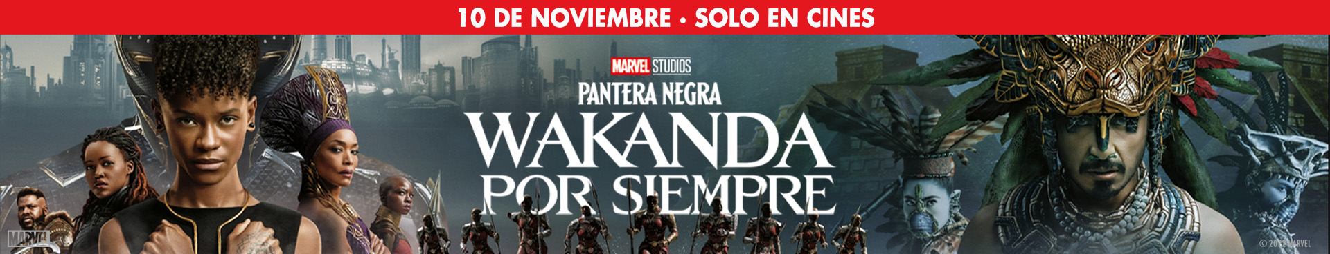 Pantera Negra Wakanda por siempre