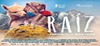 raiz