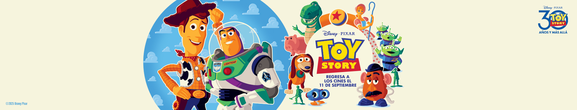 toy