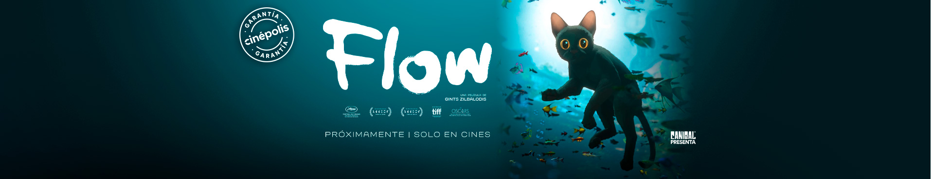 flow