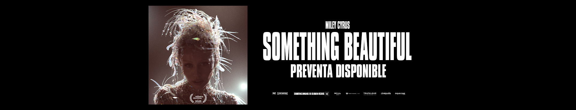 MILEY CYRUS: SOMETHING BEAUTIFUL