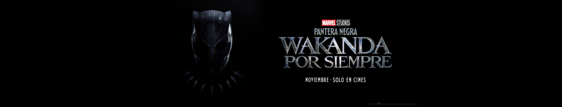 Pantera Negra Wakanda por siempre
