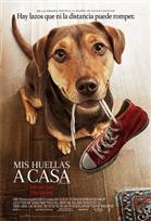 MIS HUELLAS A CASA Poster de:1 MIS HUELLAS A CASA