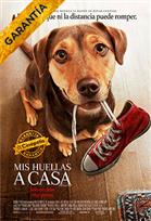 Mis Huellas a Casa Poster de: Mis Huellas a Casa
