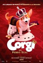 Corgi: Un Perro Real Poster de: Corgi: Un Perro Real