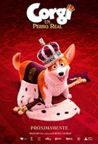 CORGI: UN PERRO REAL Poster de:2 CORGI: UN PERRO REAL