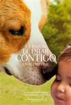 La razón de estar contigo: Un nuevo viaje Poster de: La razón de estar contigo: Un nuevo viaje