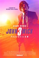 John Wick 3: Parabellum Poster de: John Wick 3: Parabellum