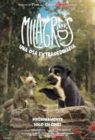 Milagros: Una osa extraordinaria