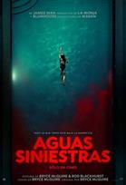 Aguas siniestras