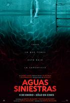 AGUAS SINIESTRAS