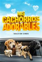 Mis cachorros adorables