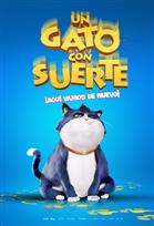 Un gato con suerte