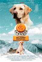 Charlie: Un perro especial