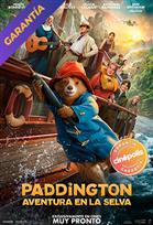 Paddington Aventura En La Selva