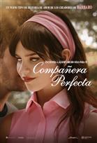 Compañera perfecta