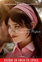 Compañera Perfecta