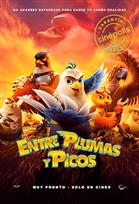 Entre plumas y picos