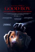 Good boy