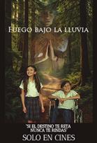 Fuego bajo la lluvia