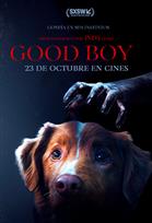 Good Boy