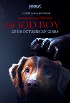 Good Boy