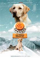 Charlie: Un perro especial