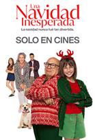 Una navidad inesperada