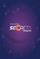 FUNCION SECRETA 18