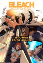 BLEACH: Thousand years war: The Calamity