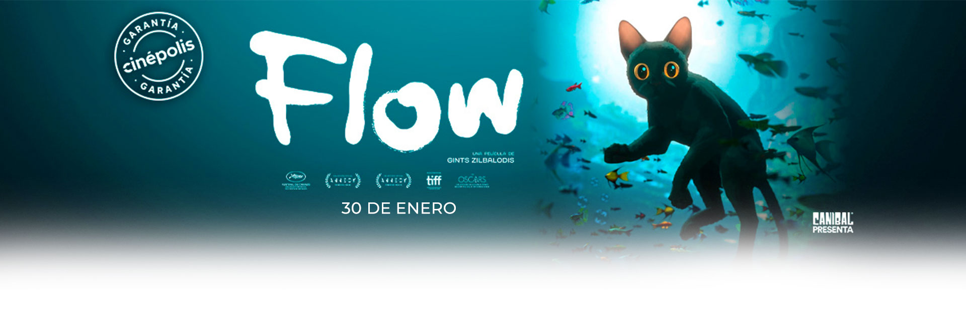 Banner Flow | Garantía Cinépolis