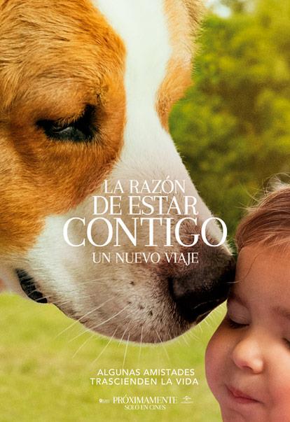 La Razón De Estar Contigo Un Nuevo Viaje Cinépolis Entra